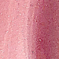 PAESE Beauty Lipgloss