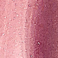 PAESE Beauty Lipgloss