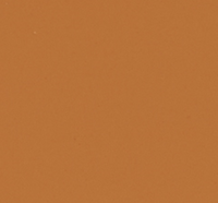 PAESE Collagen Moisturizing Foundation