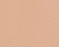 PAESE Long Cover Fluid