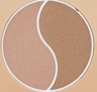 PAESE Selfglow bronzing powder