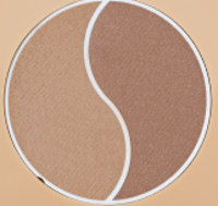PAESE Selfglow bronzing powder