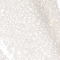 PAESE Tasty Lips beauty Lipgloss