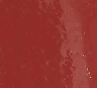 PAESE The Kiss Lips Liquid Lipstick